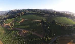 Lazy River Vineyard