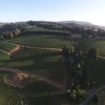 Lazy River Vineyard
