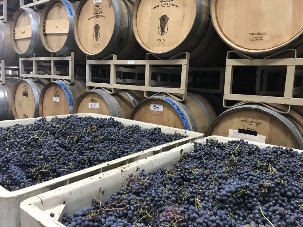 Vino di Amore