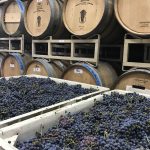 Vino di Amore